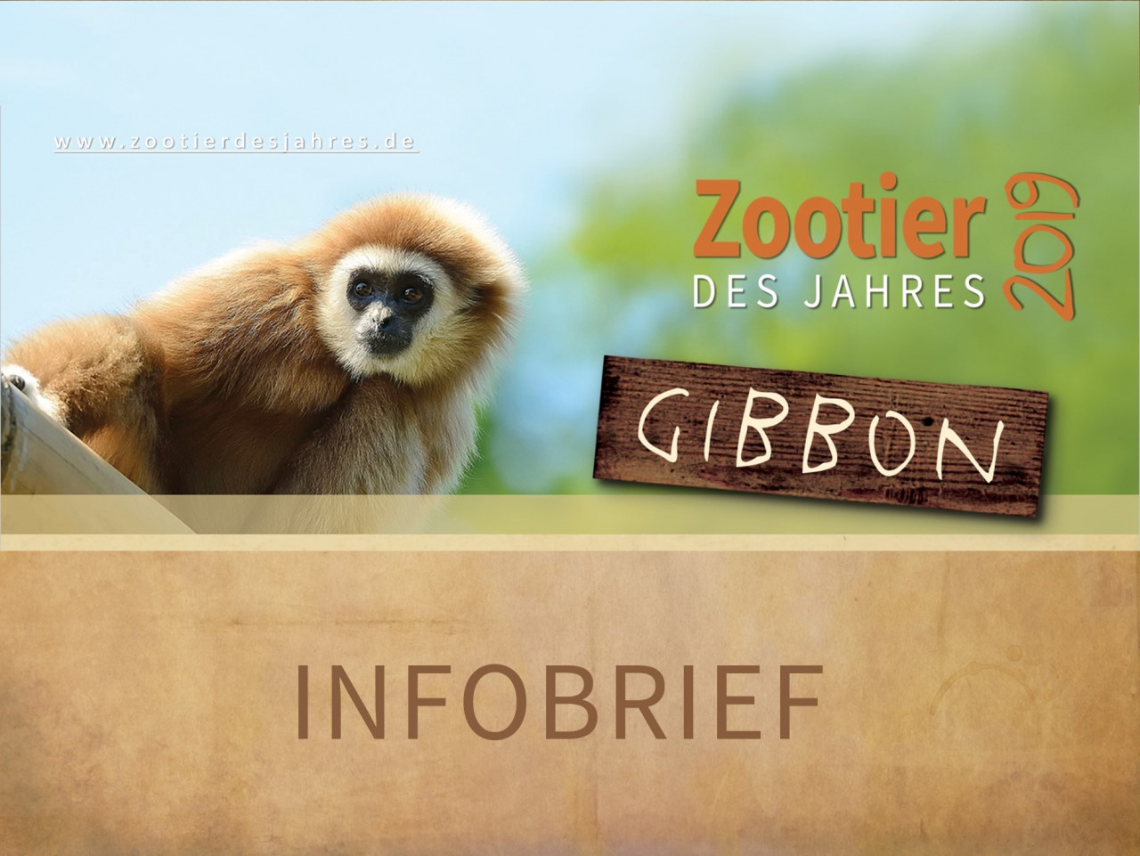 Infobrief