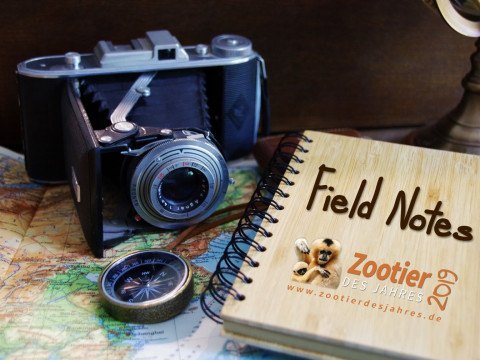 ZdJ-Fieldnotes-2019