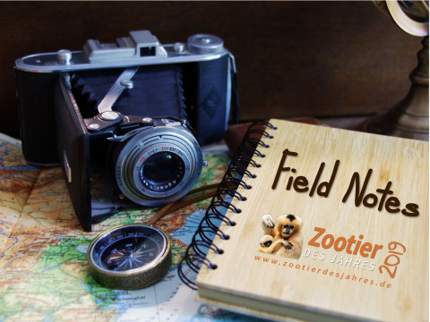 FieldNotes-ZdJ 2019