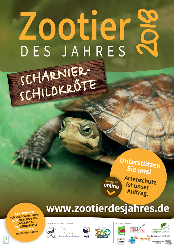 Zootier des Jahres Plakat