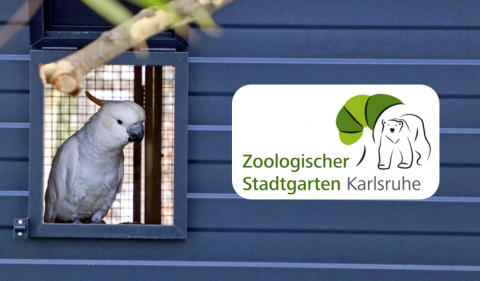 Zoo-Karlsruhe