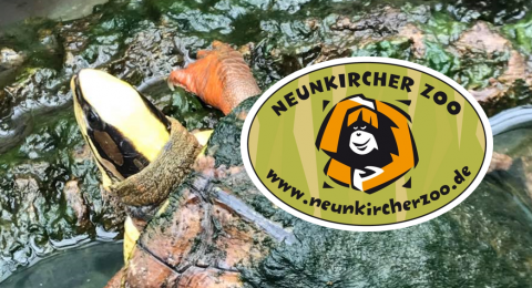 Neunkircher-Zoo
